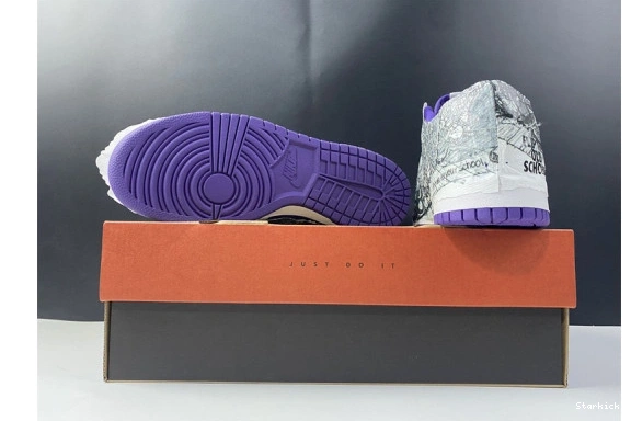 Dunk Nike DJ4636-100 Old Flip School the Low 0731